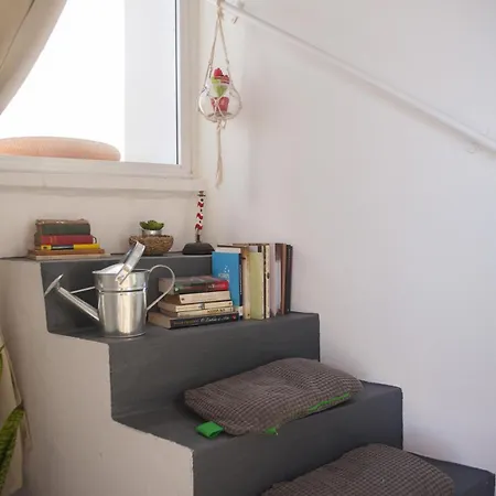 Terrace House * Água de Alto